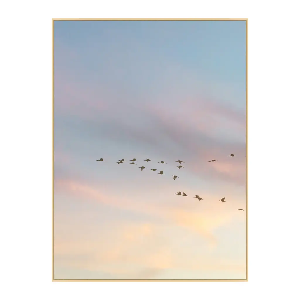 Sunset Flock 1