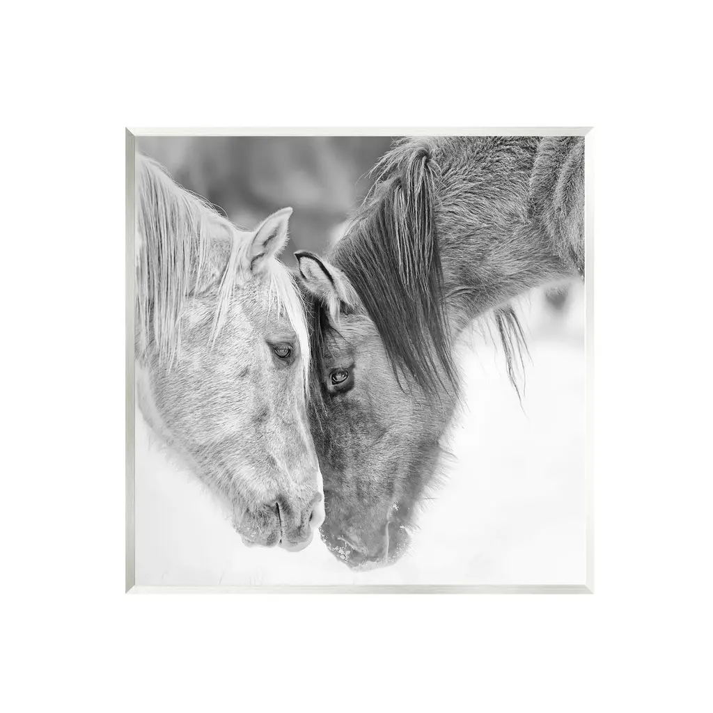Stupell Horse Hug Photography Wall Plaque Art Ph Burchett - 12 X 12