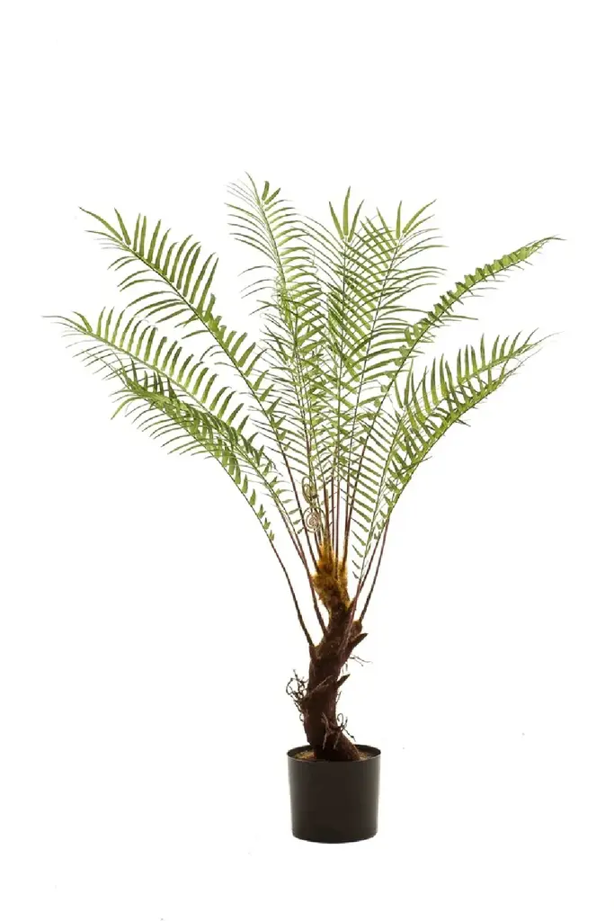 Faux Green Tropical Plants (2) | Emerald Dicksonia