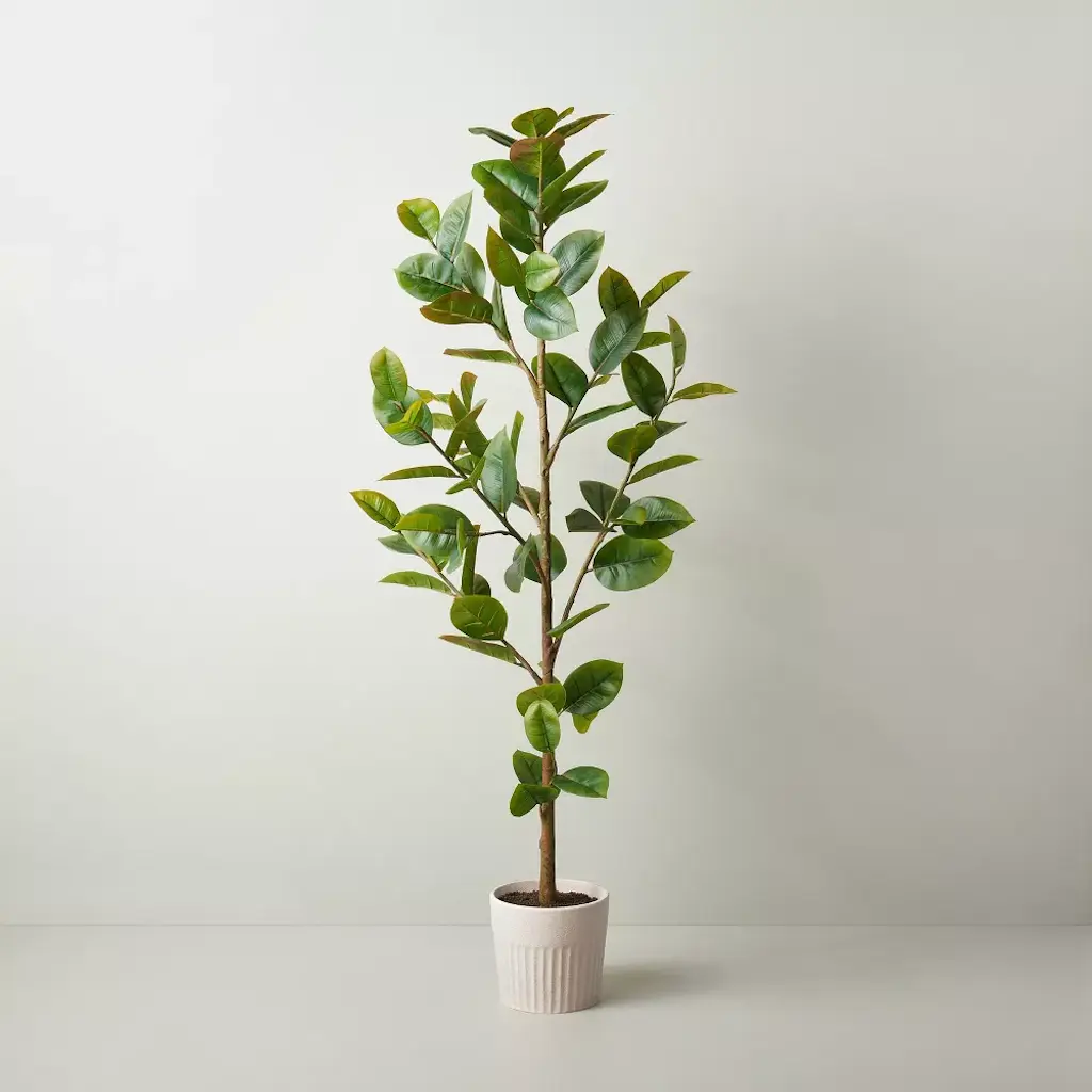 New online Banyan Leaf Potted Tree - Threshold™ designed with Studio McGee