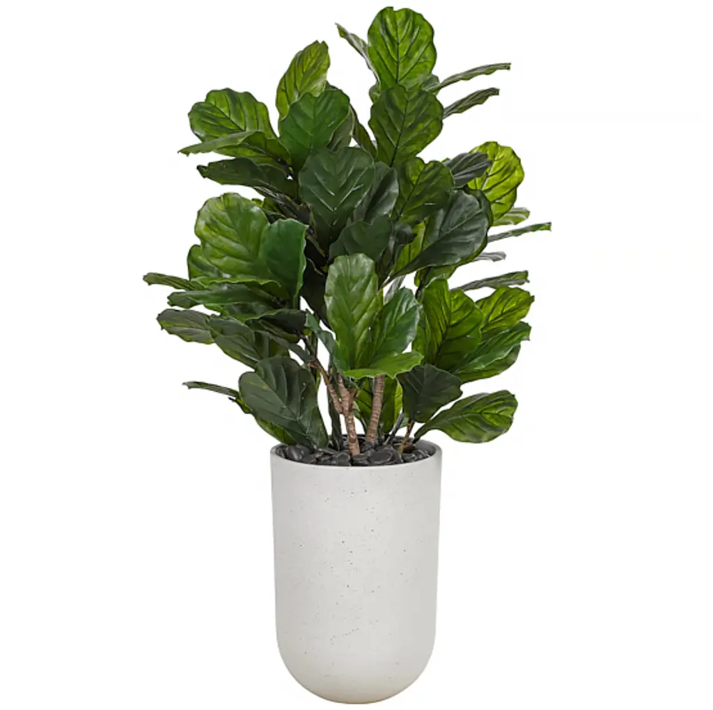 55" Fiddleleaf Tree In Concrete Planter, Faux