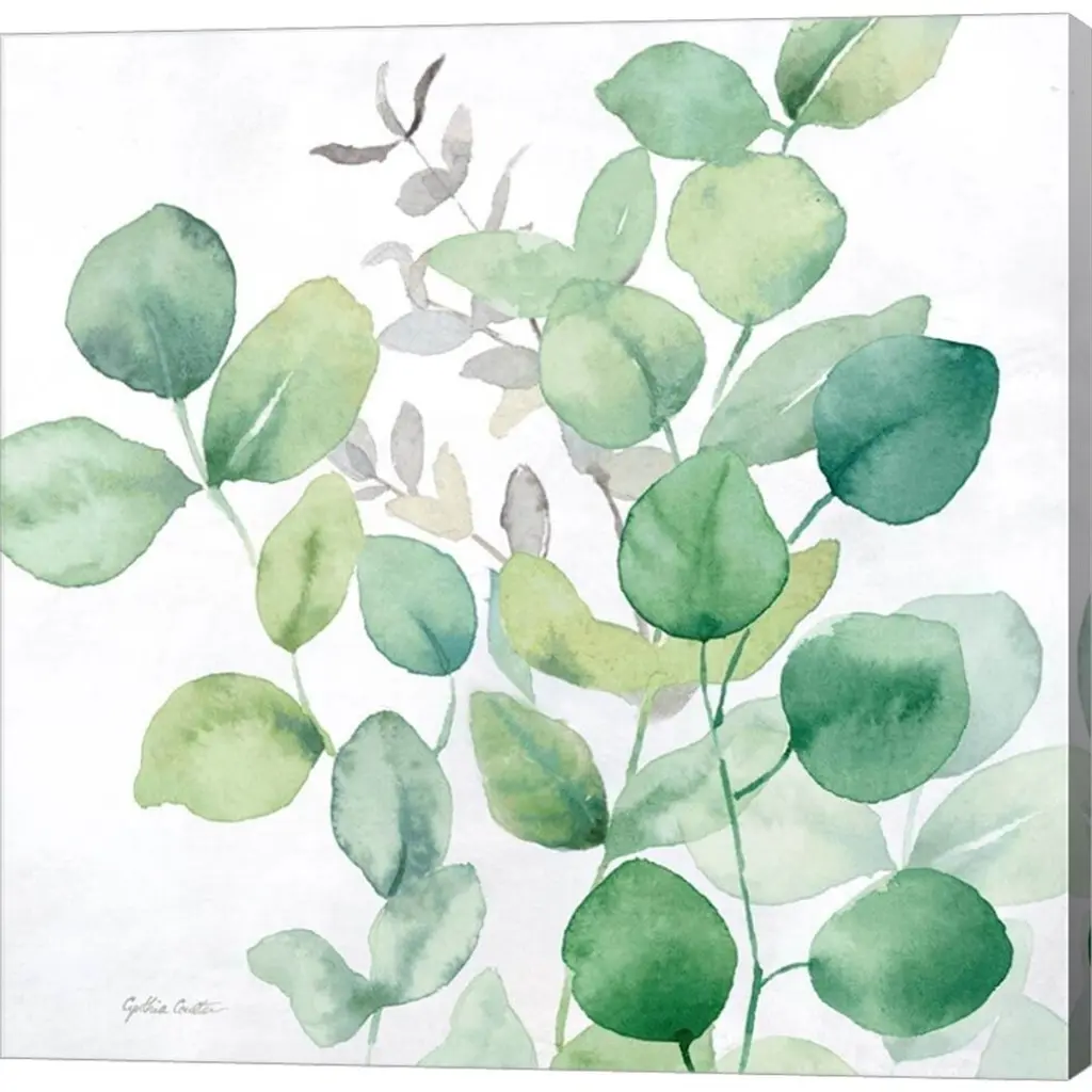 Cynthia Coulter 'Eucalyptus Leaves I' Canvas Art - 24 X 24