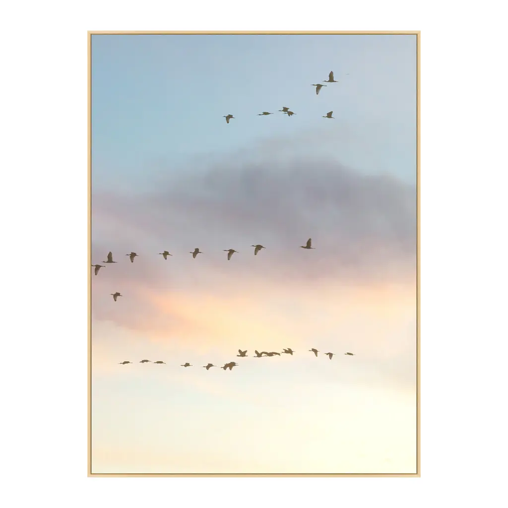 Sunset Flock 2