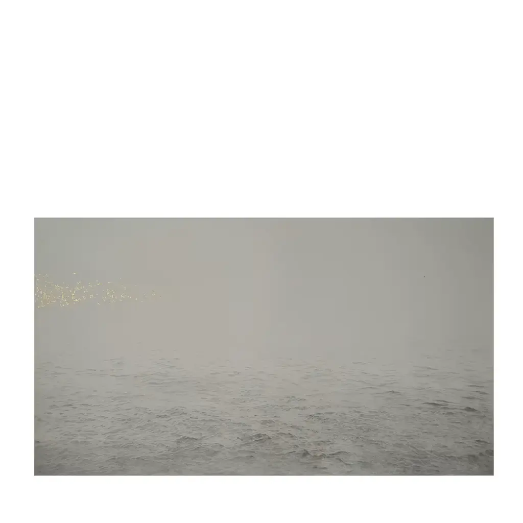 Distant Breath Of A Wing Etching