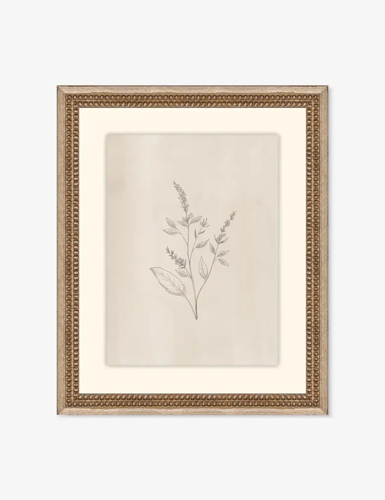 Elegant Botanical Vi Wall Art By Makai Howell