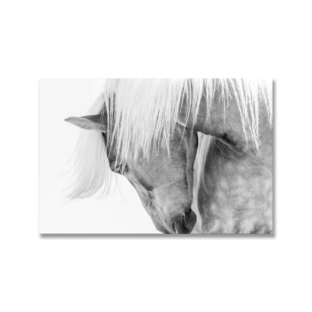 "Halflinger Portrait" Framed Print Wall Art By Kimberly - 48 X 32