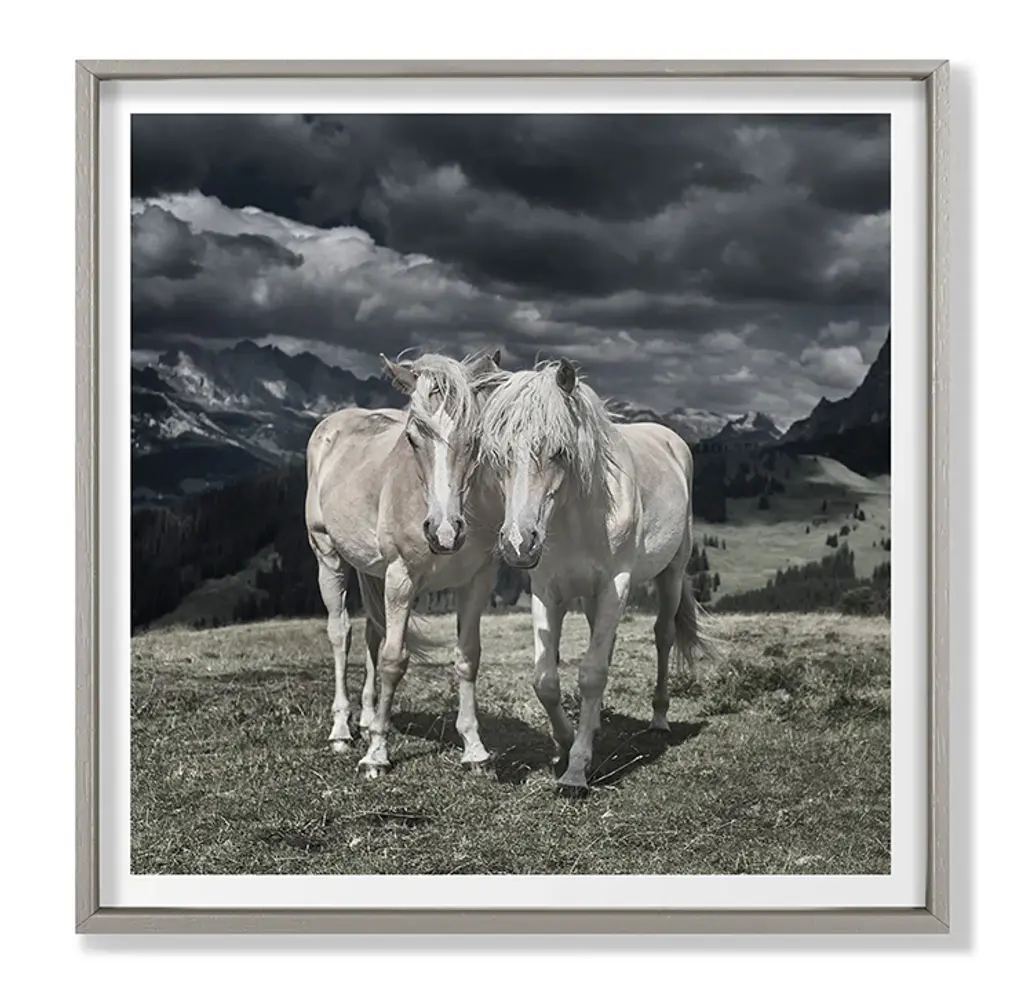 Grand Image Home Chris Dunker, Horses In Europe Ii Art