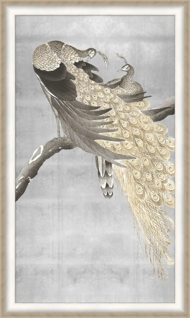 Silvered Peacock Pair