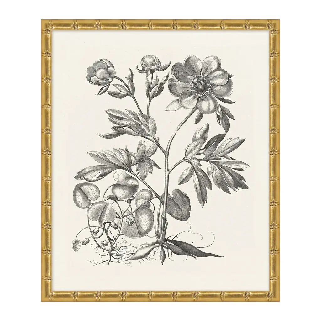 Bessler Study In Neutral 3