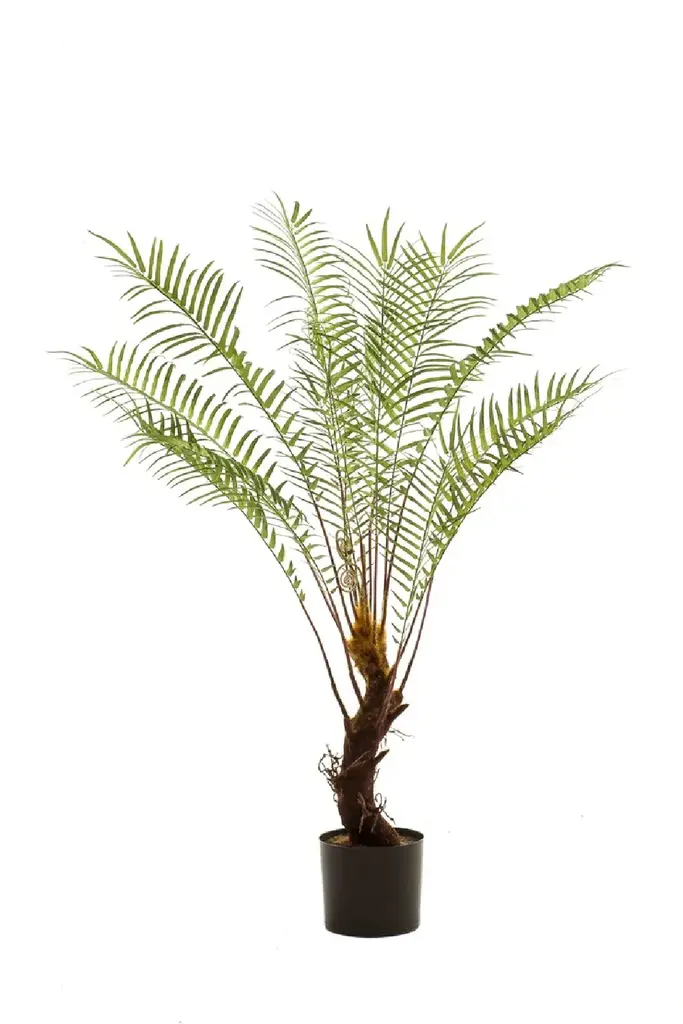Faux Green Tropical Plants (2) | Emerald Dicksonia