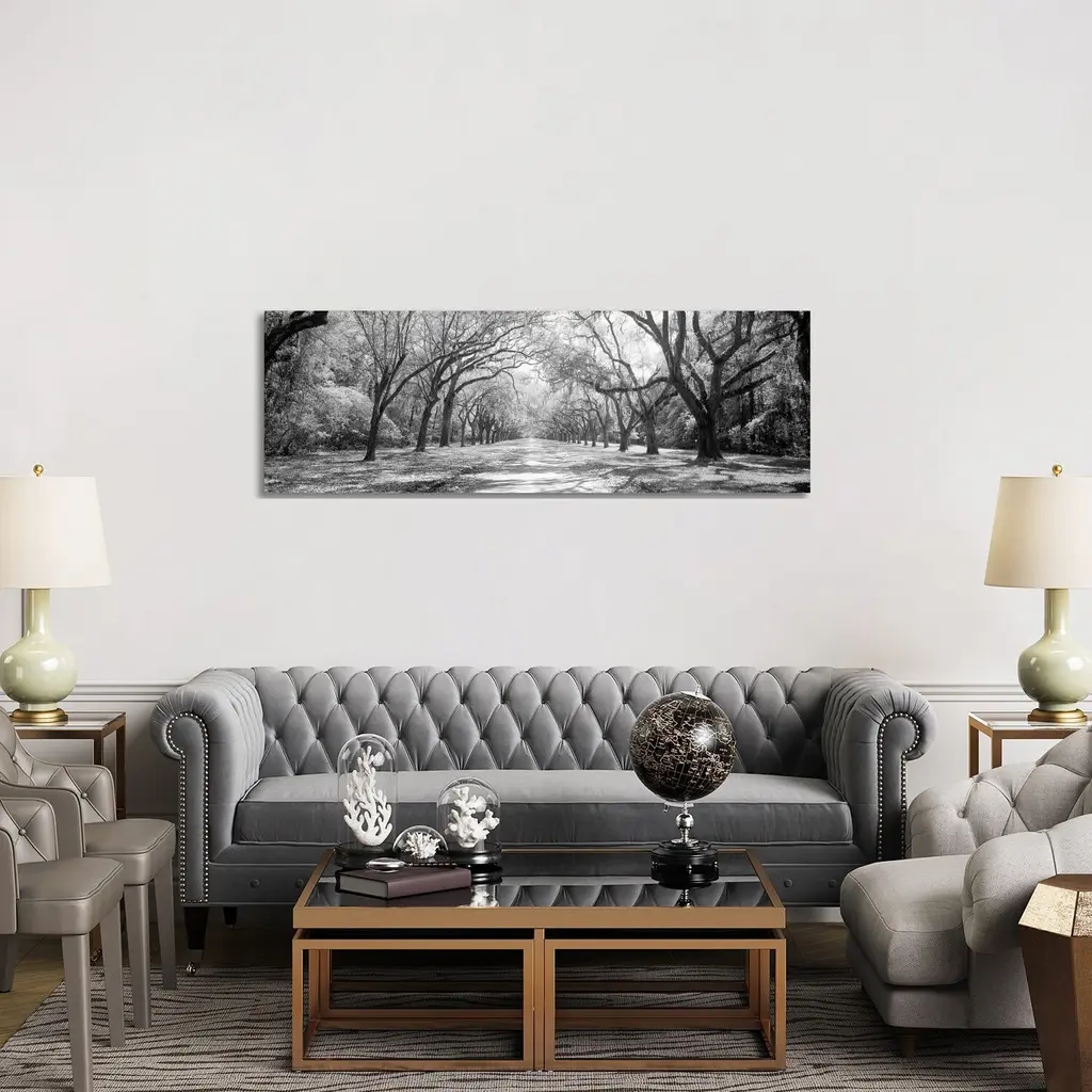 Icanvas "Live Oaks And Spanish Moss Wormsloe State Historic Site Savannah, Georgia (B&w) Ii" By Panoramic Images Canvas Print - 12x36x1.5