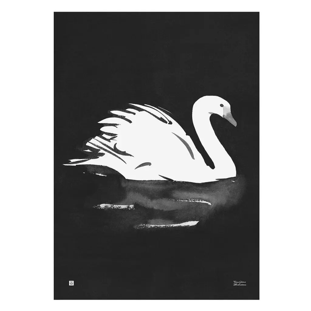 Swan Poster, 50 X 70 Cm