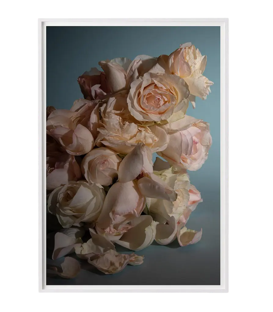 Still Life Of Roses Photograph