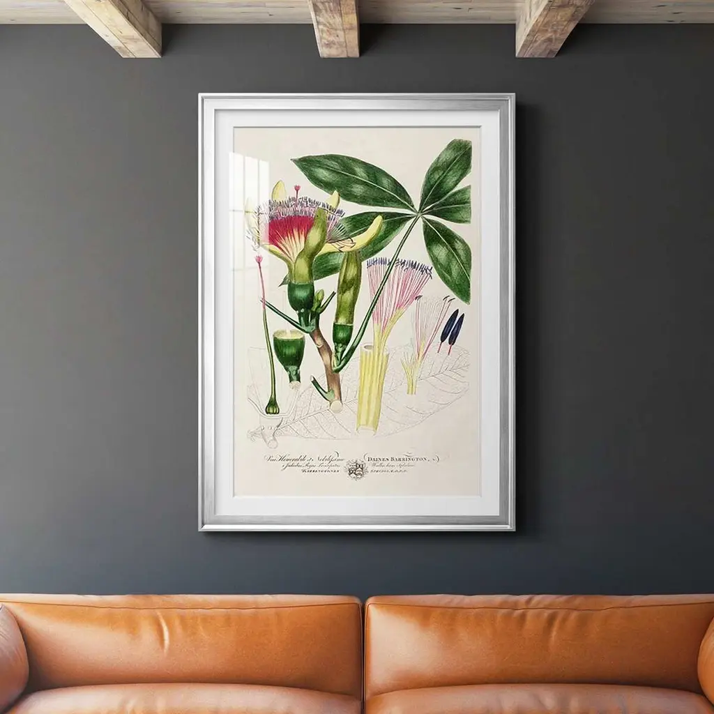 Imperial Tropical Botanical Ii Premium Framed Print - Ready To Hang - 22.5x30.5 - Gold