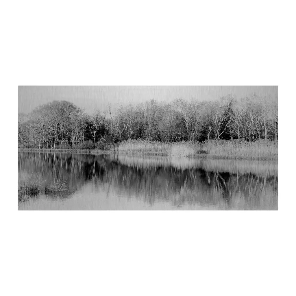 Metallic Riverbank Reflection