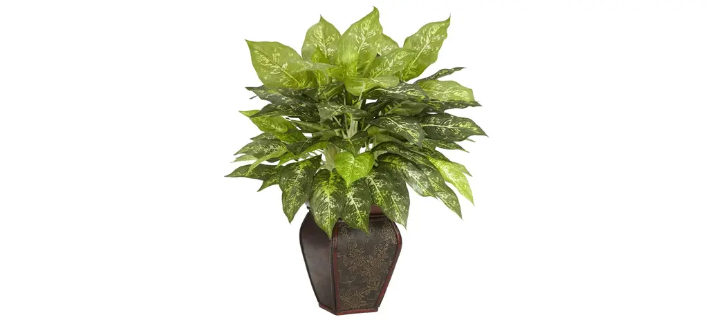 Dieffenbachia With Decorative Vase Silk Plant