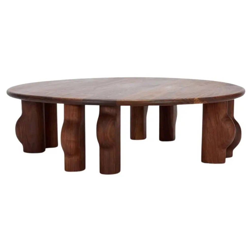 Murici Coffee Table By Nikolai Lafuge