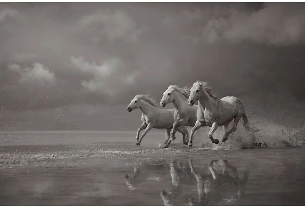 Drew Doggett, Charge