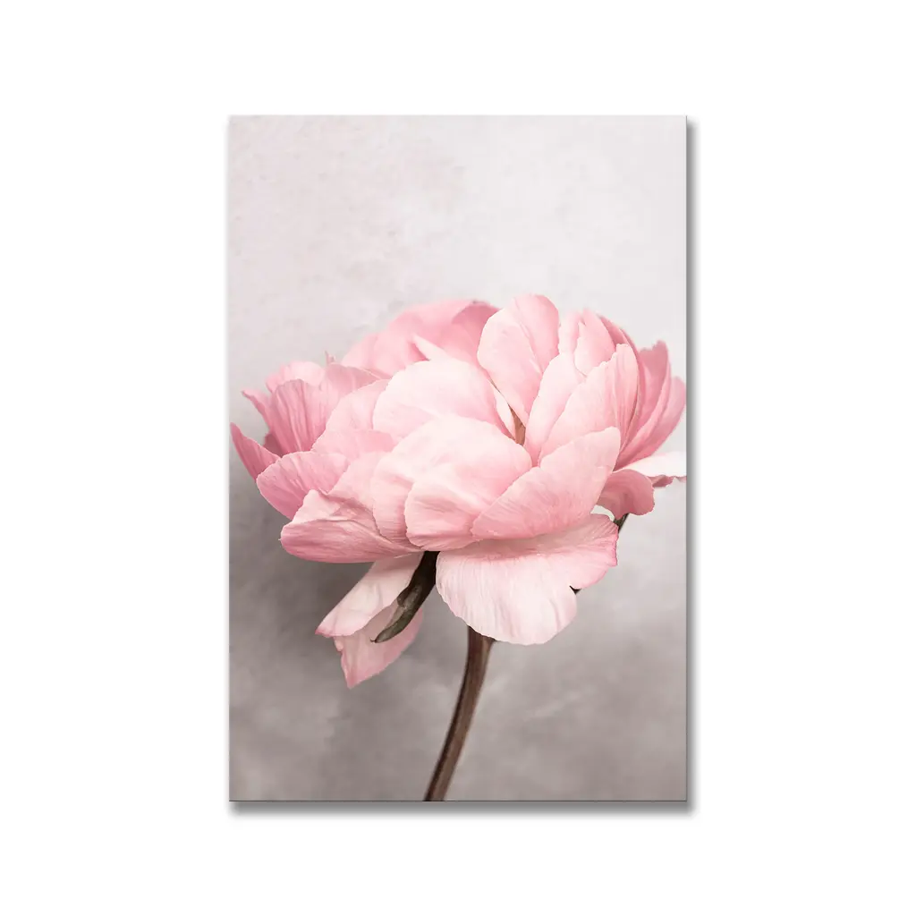 "Peony" Framed Print Wall Art By Kathrin Pienaar - 24 X 36