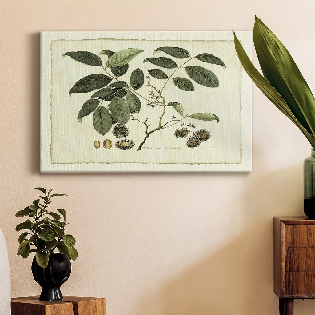 Delicate Botanical Iii Premium Gallery Wrapped Canvas - Ready To Hang - 18x27