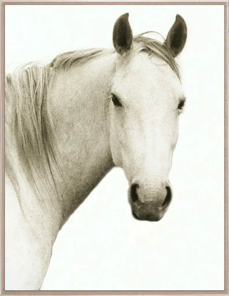 Natural Curiosities Hyden Horse Solo