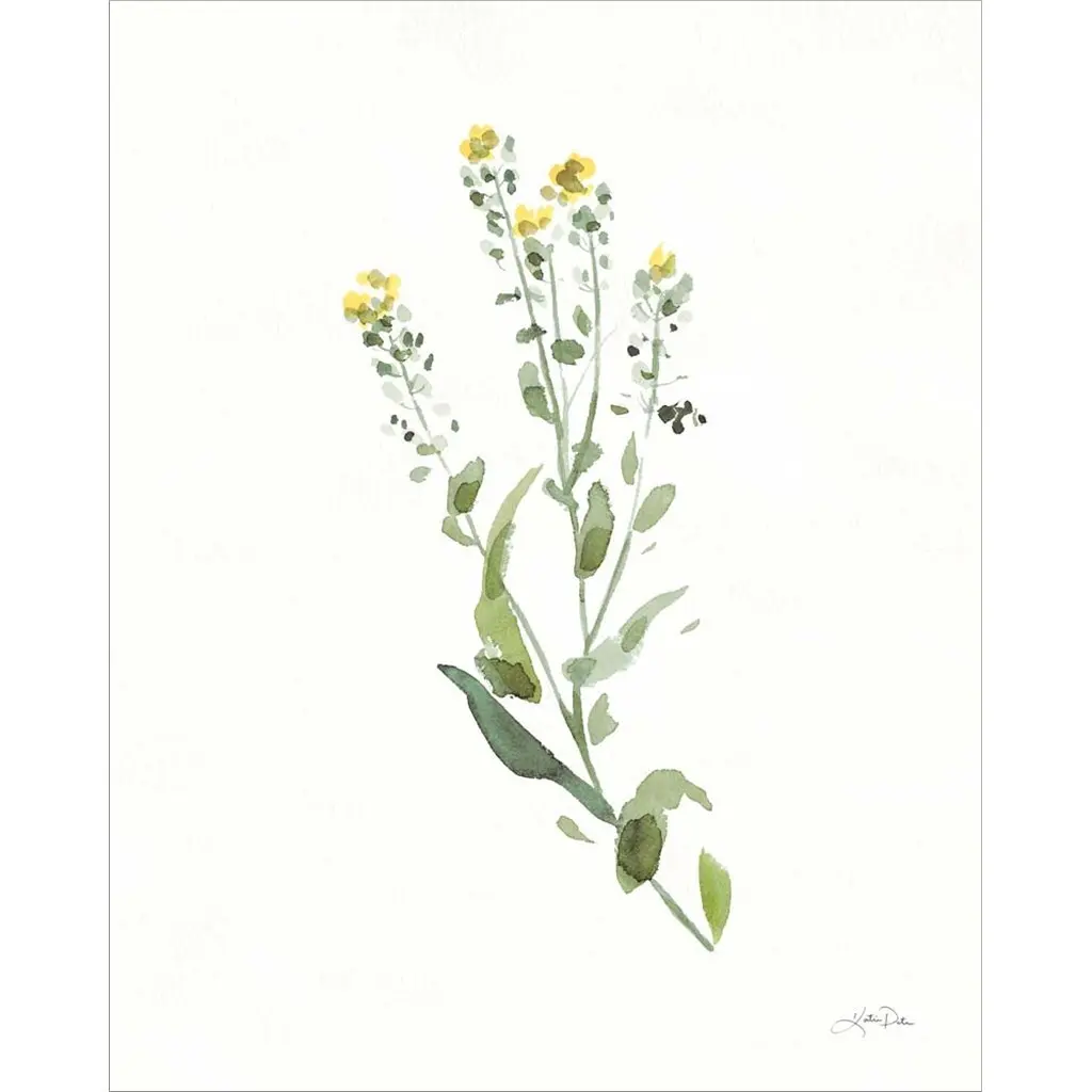 Katrina Pete 'Flowers Of The Wild Iv' Canvas Art - 16 X 20