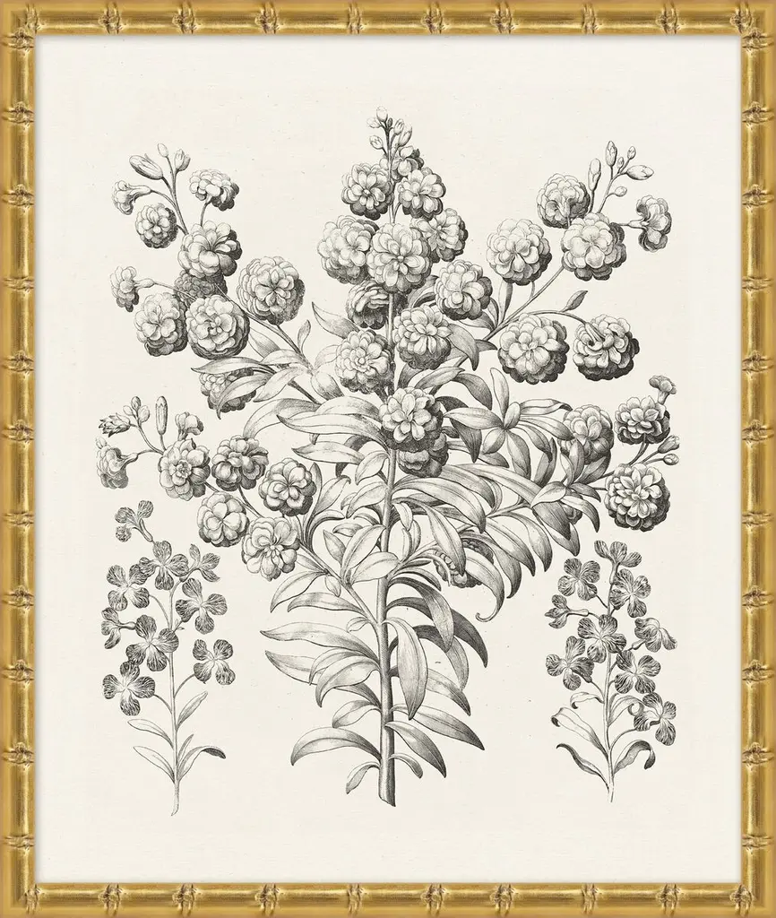 Lillian August, Bessler Study In Neutral V