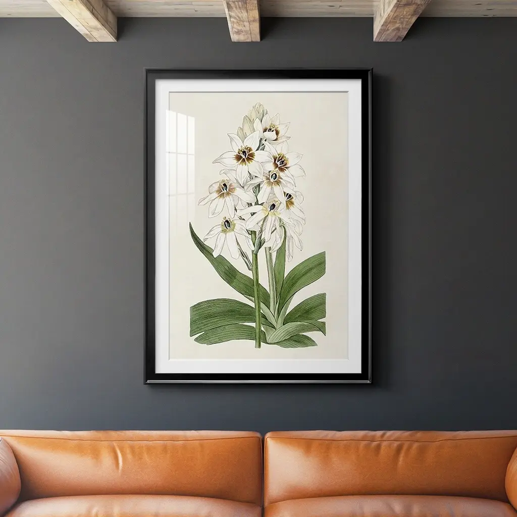 Flore Albo I Premium Framed Print - Ready To Hang - 30.5x42.5 - Silver