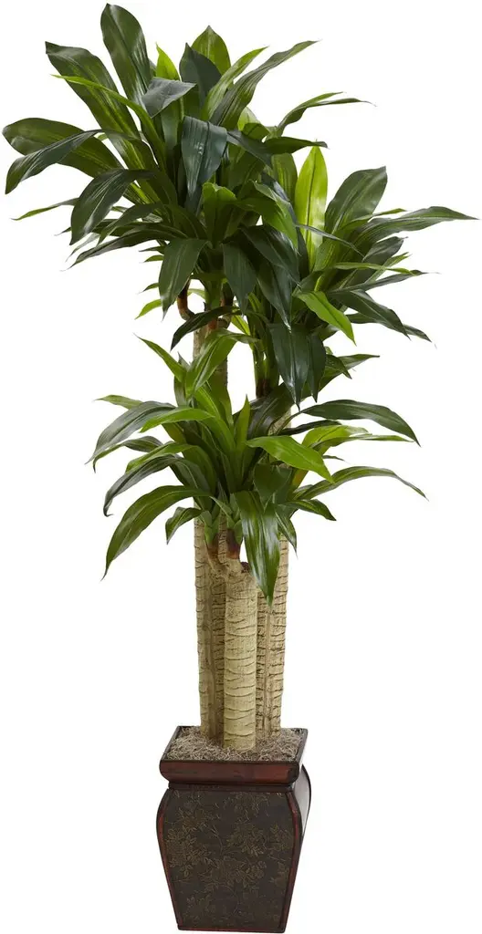 54" Faux Dracaena Plant