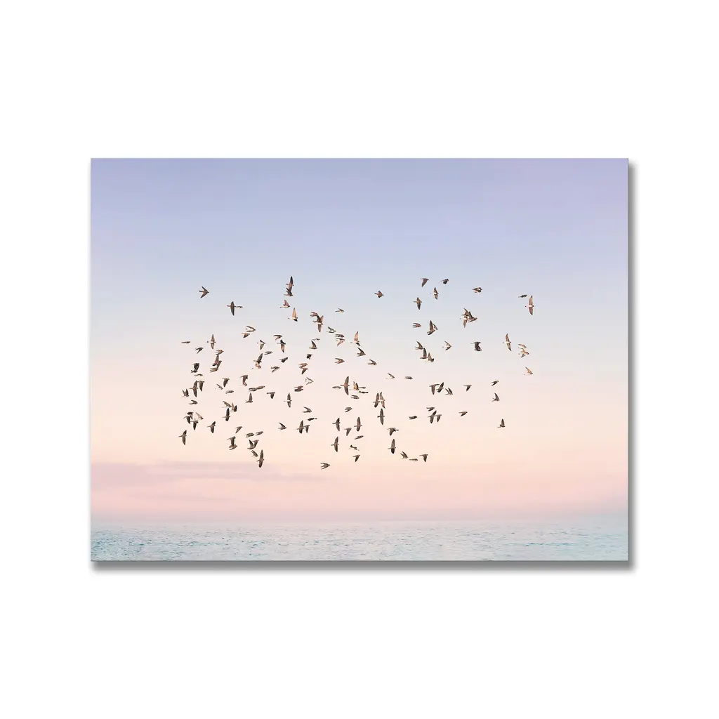 "Sunset Flight" Framed Print Wall Art By Kathrin Pienaar - 48 X 32