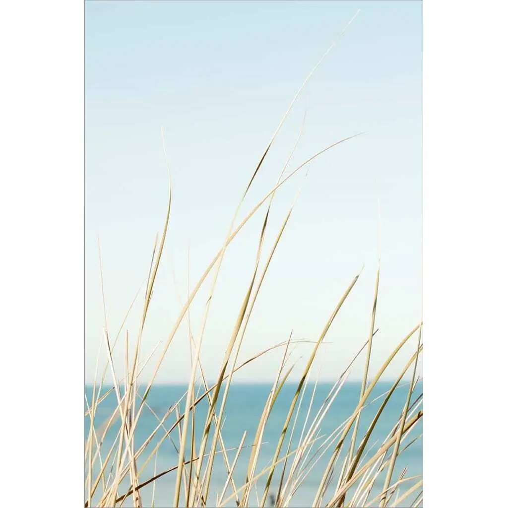 Ian Winstanley 'White Oceans 67' Canvas Art - 14 X 20