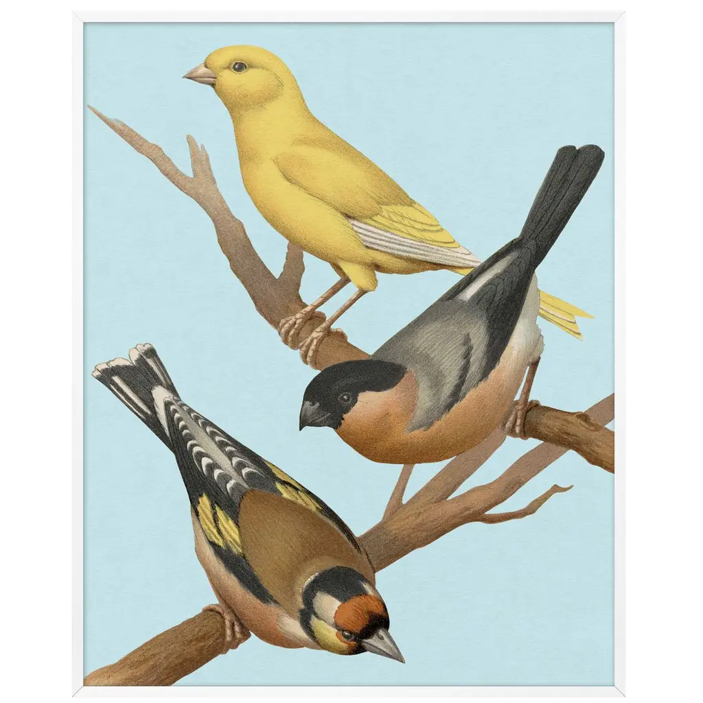 Lillian August, Perched 2