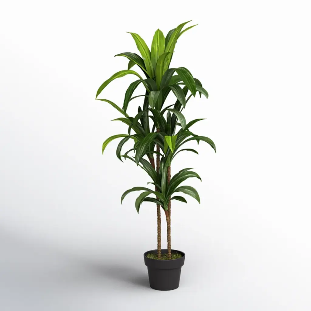 Larson 48'' Faux Dracaena Plant In Planter