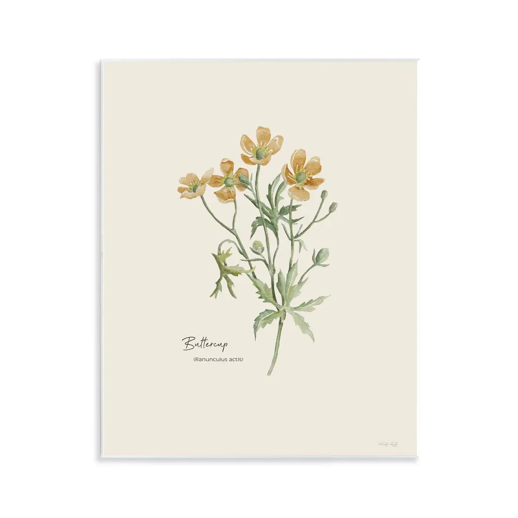 Stupell Simple Buttercup Flowers Wall Plaque Art Design By Cindy Jacobs - 11 X 14