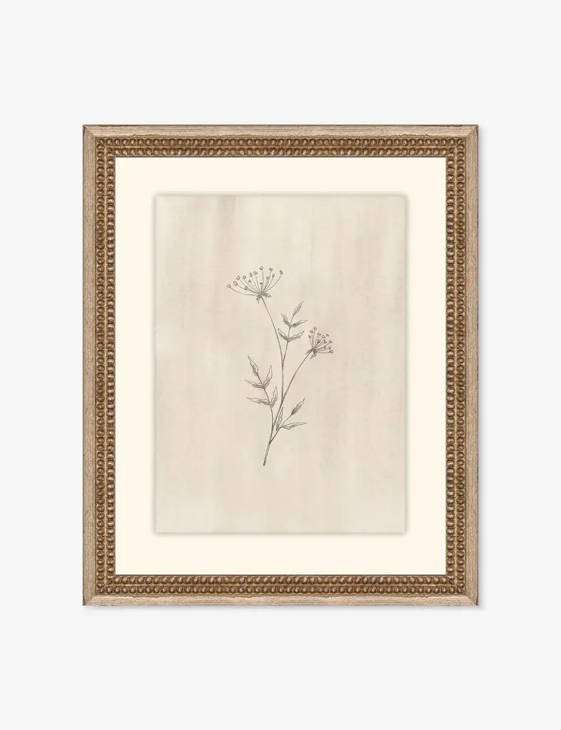 Elegant Botanical Iv Wall Art By Makai Howell