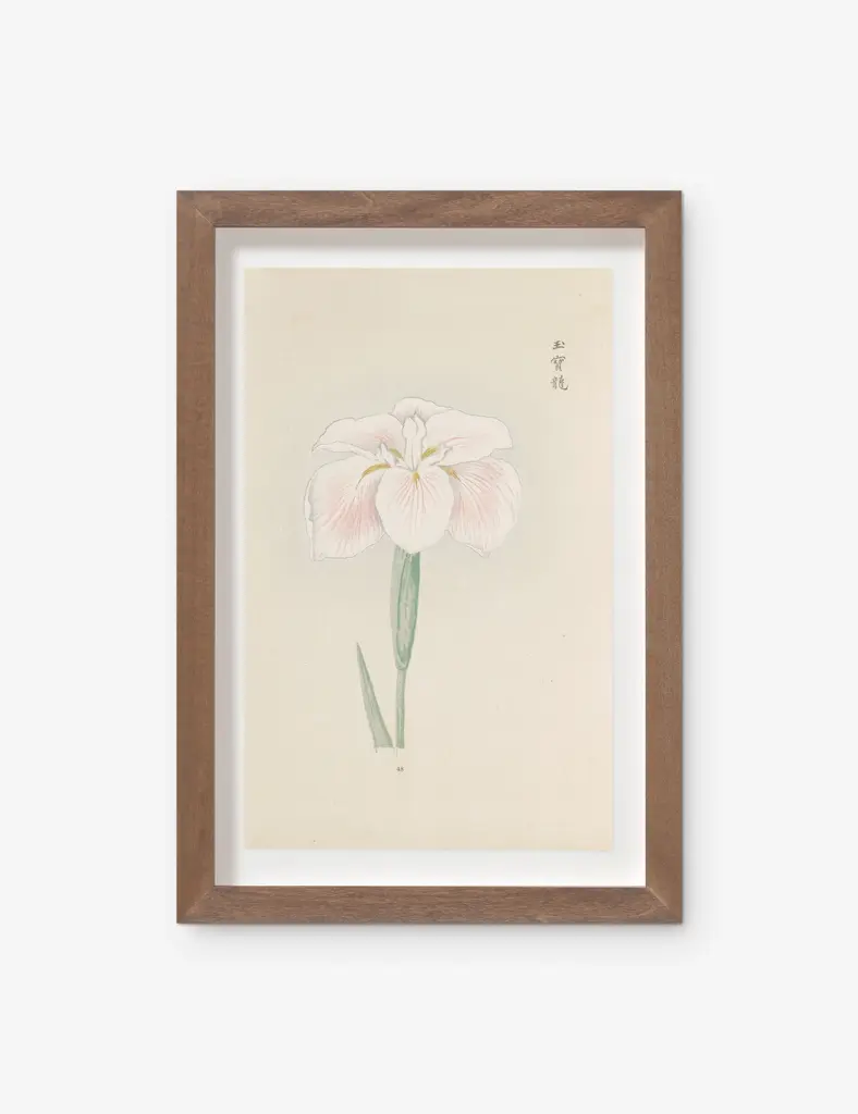 Vintage Japanese Iris No. 48 Wall Art By Miyoshi Manabu