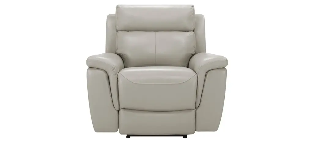Dryden Leather Power Recliner W/ Power Headrest