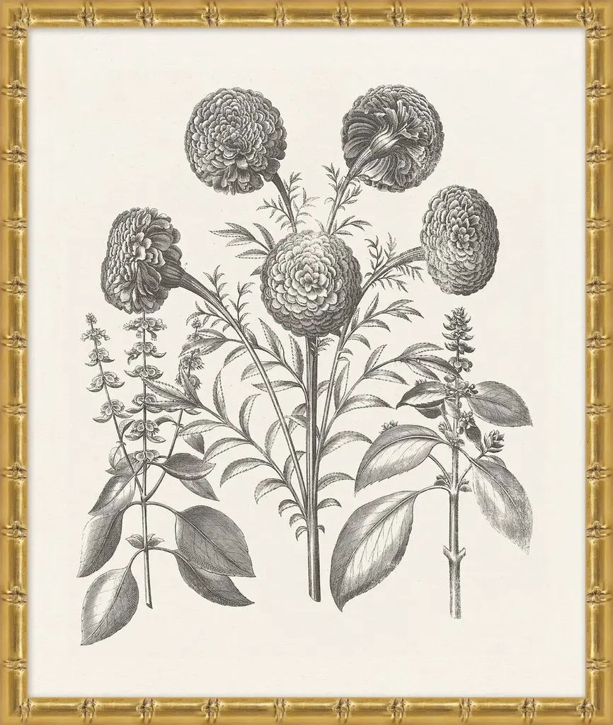 Lillian August, Bessler Study In Neutral X