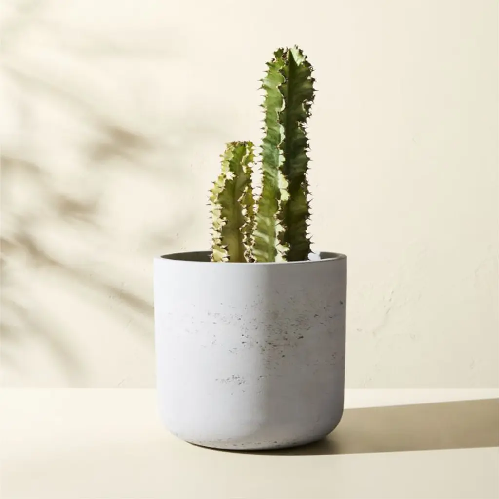 Seminyak Grey Cement Indoor/outdoor Planter Xs