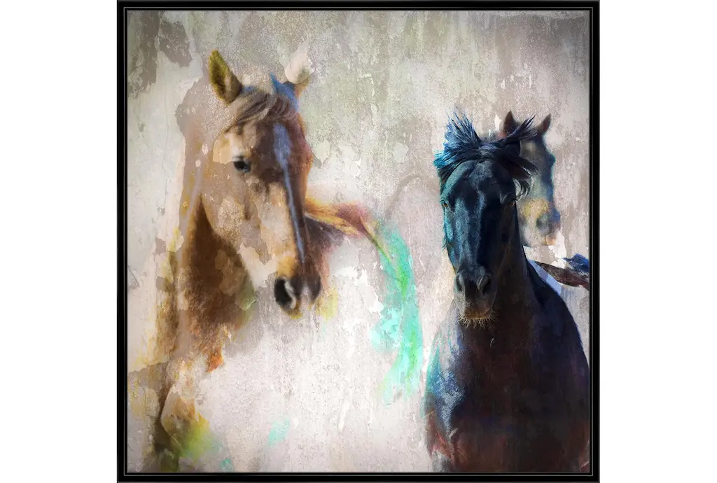 47x47 Horse Rush With Black Frame | Made In The Usa | Framed Art | Animals | Print