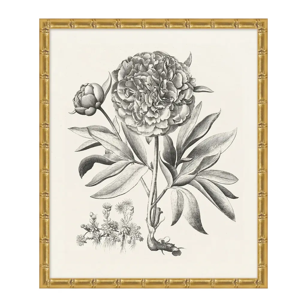 Bessler Study In Neutral 2